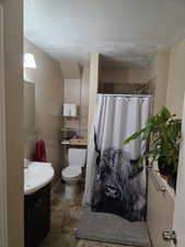 Full bath featuring vanity, a stall shower, and a textured ceiling