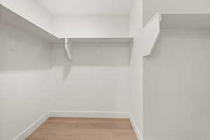 Walk in closet featuring light wood finished floors