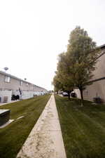 View of walking path