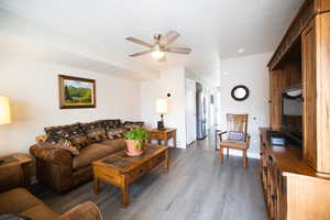 Living area with a ceiling fan and grey wood-style floors