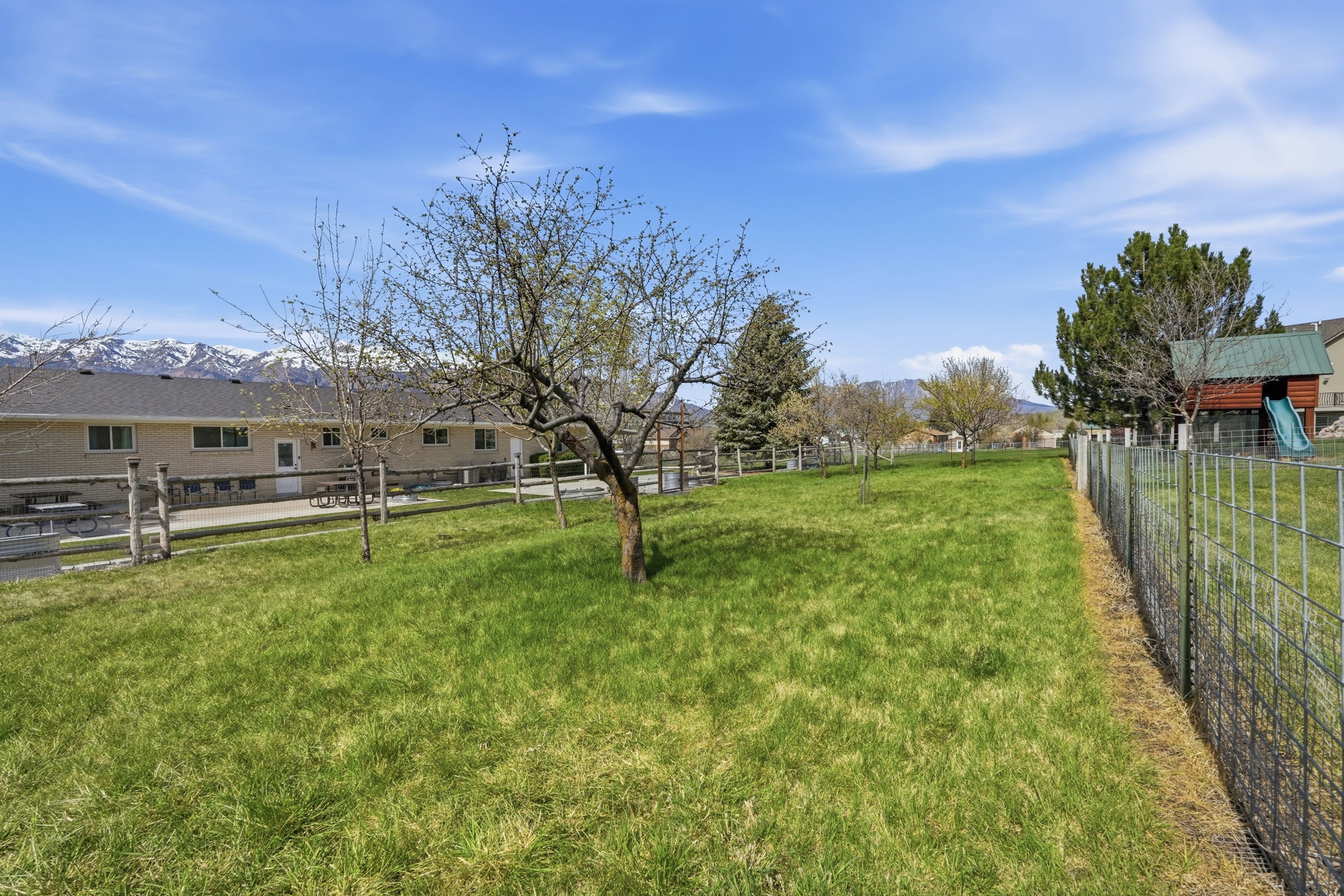 View of yard/orchard with Peach, Pear, Plumb, Apple Trees