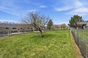 View of yard/orchard with Peach, Pear, Plumb, Apple Trees