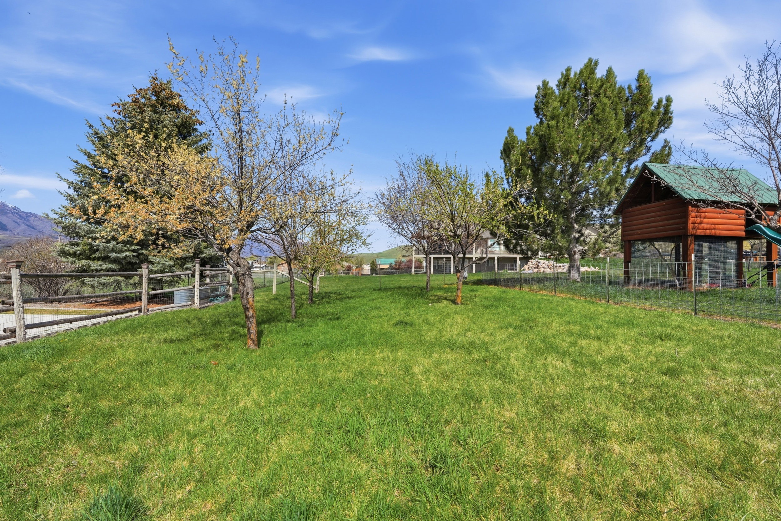 View of yard/orchard with Peach, Pear, Plumb, Apple Trees