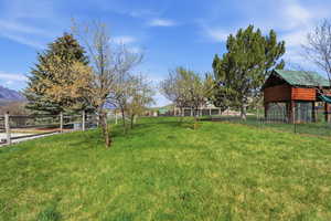 View of yard/orchard with Peach, Pear, Plumb, Apple Trees