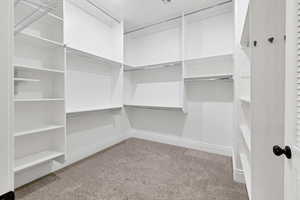 Walk in closet with light colored carpet