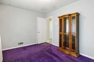 Spare room featuring carpet flooring and a textured ceiling