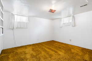 Carpeted spare room featuring wood walls