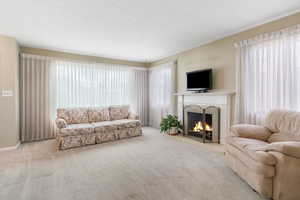 Living room with a premium fireplace and light carpet