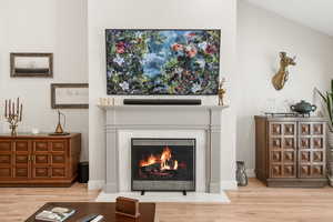 Living room featuring light wood-style flooring and a premium fireplace