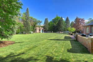 So much privacy and seclusion in the backyard.