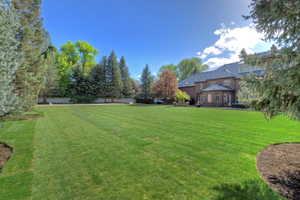 Expansive backyard offers space for any activity or entertainment.