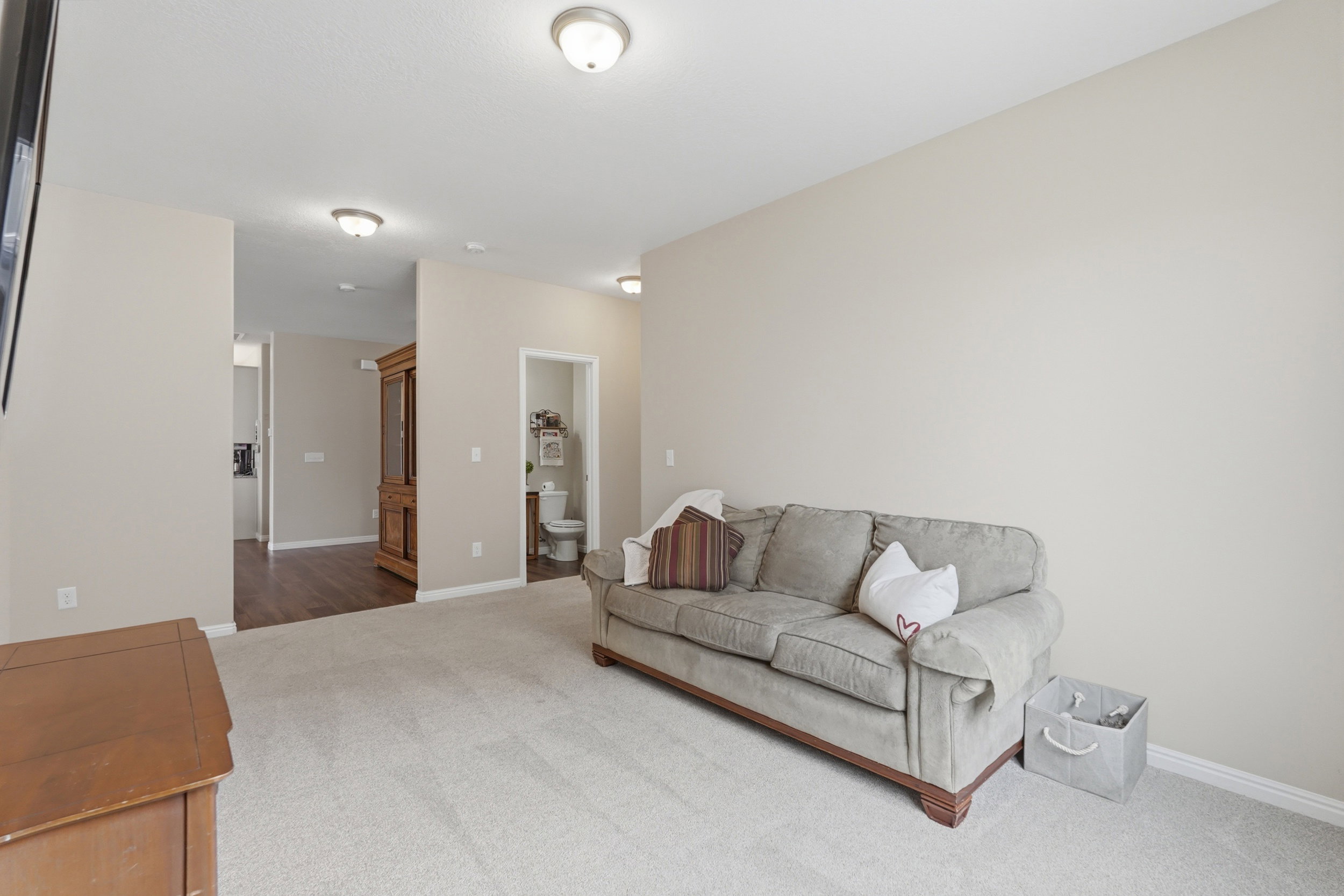 Living room featuring light carpet and baseboards