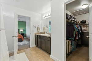 Ensuite bathroom featuring vanity, light colored carpet, and a spacious closet