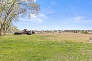 View looking West in the back yard
