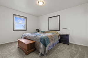 Bedroom with carpet floors