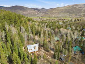 Bird's eye view of a mountainous background
