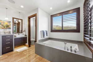 Bathroom featuring vanity, healthy amount of natural light, a garden tub, and recessed lighting