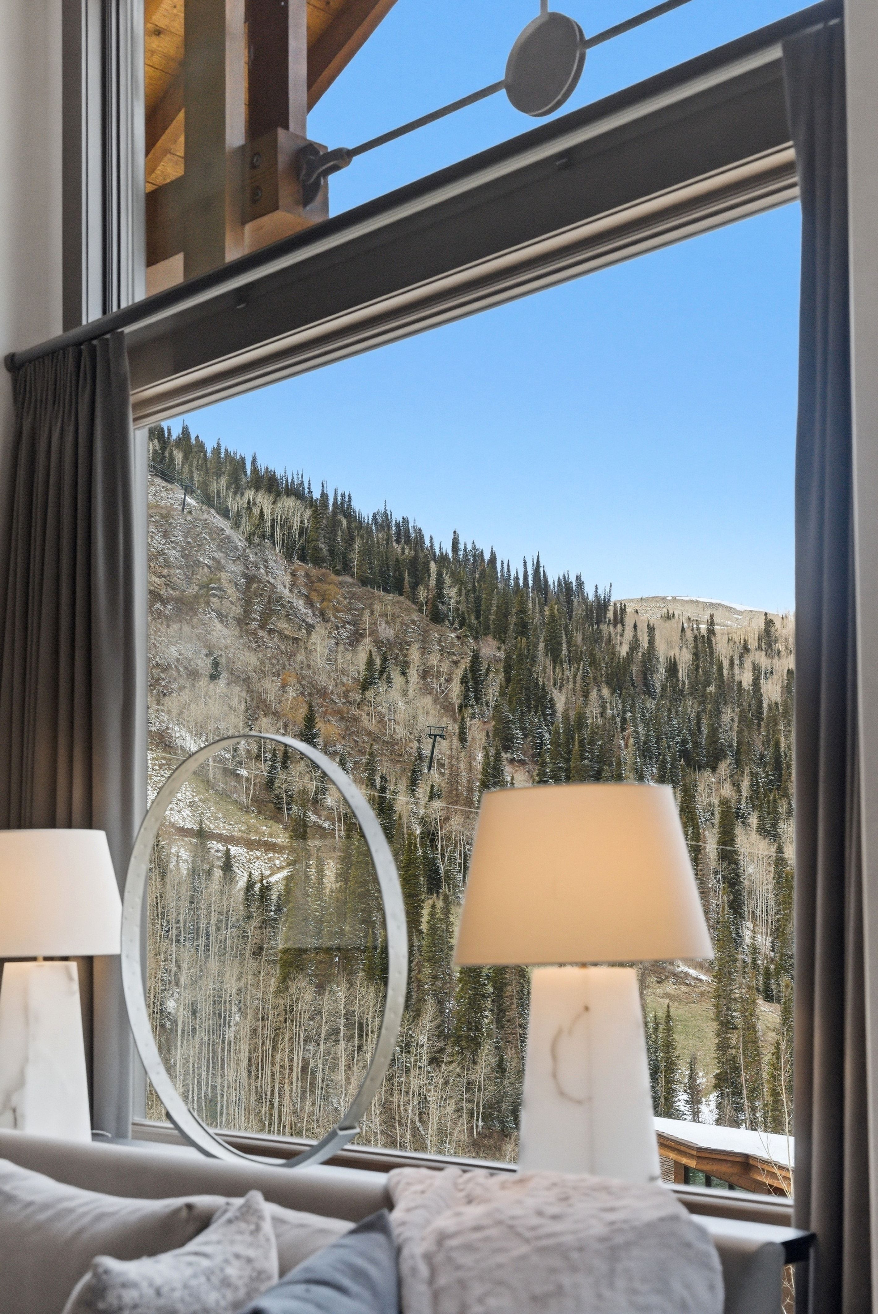 Detailed view of a heavily wooded area and mountains