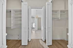 View of primary closets