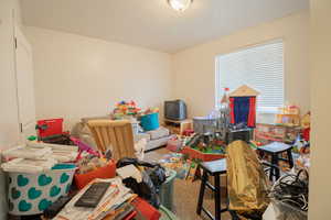 Game room featuring carpet flooring
