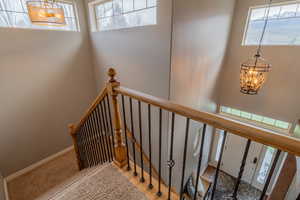 Staircase featuring suspended lighting and carpet floors