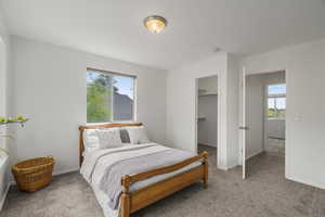Bedroom featuring a walk in closet, carpet floors, and multiple windows