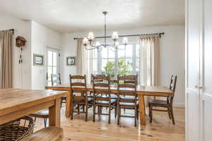 Dining room with hanging lights, light wood-type flooring, and a textured ceiling