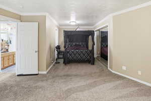 Bedroom with a textured ceiling, light colored carpet, a closet, and ornamental molding