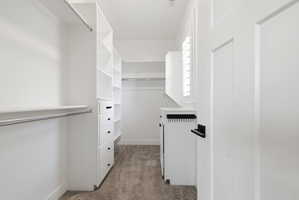 Walk in closet with dark carpet