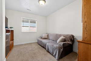 Sitting room featuring light carpet and a textured ceiling