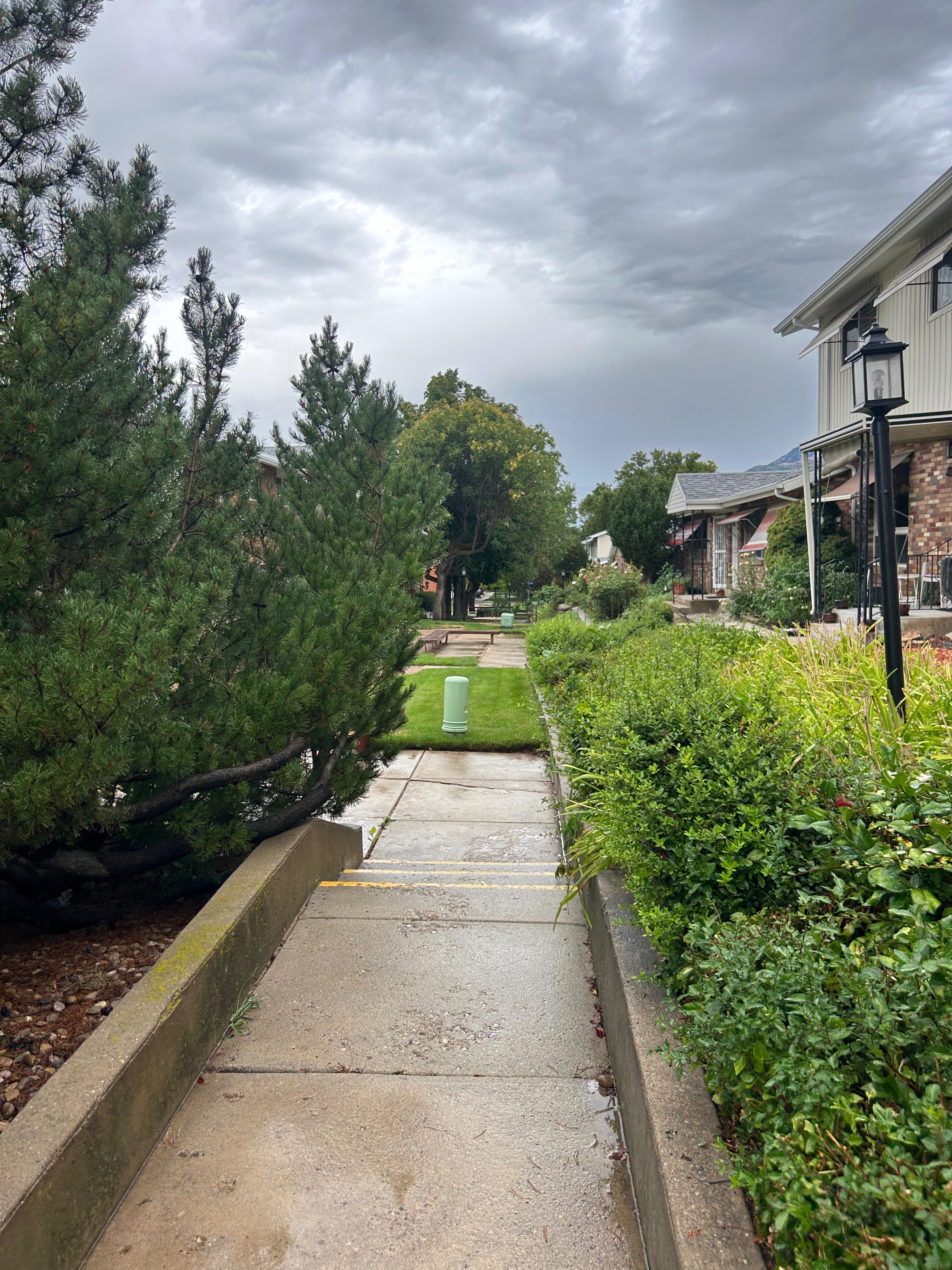 Concrete pathway framed by mature landscaping and a manicured lawn