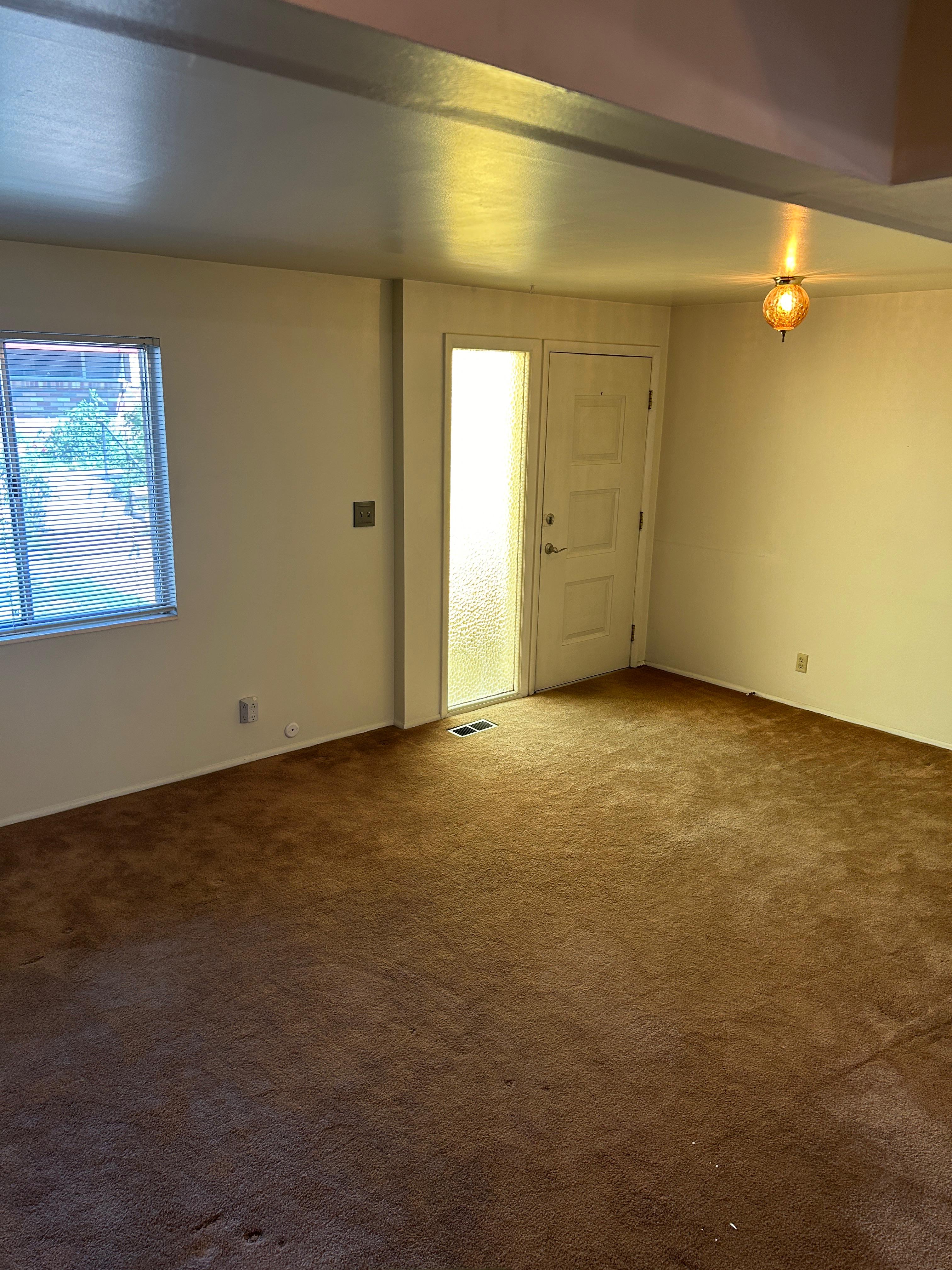 Entryway featuring a paneled door with a frosted sidelight, brown carpet, and a window with horizontal blinds