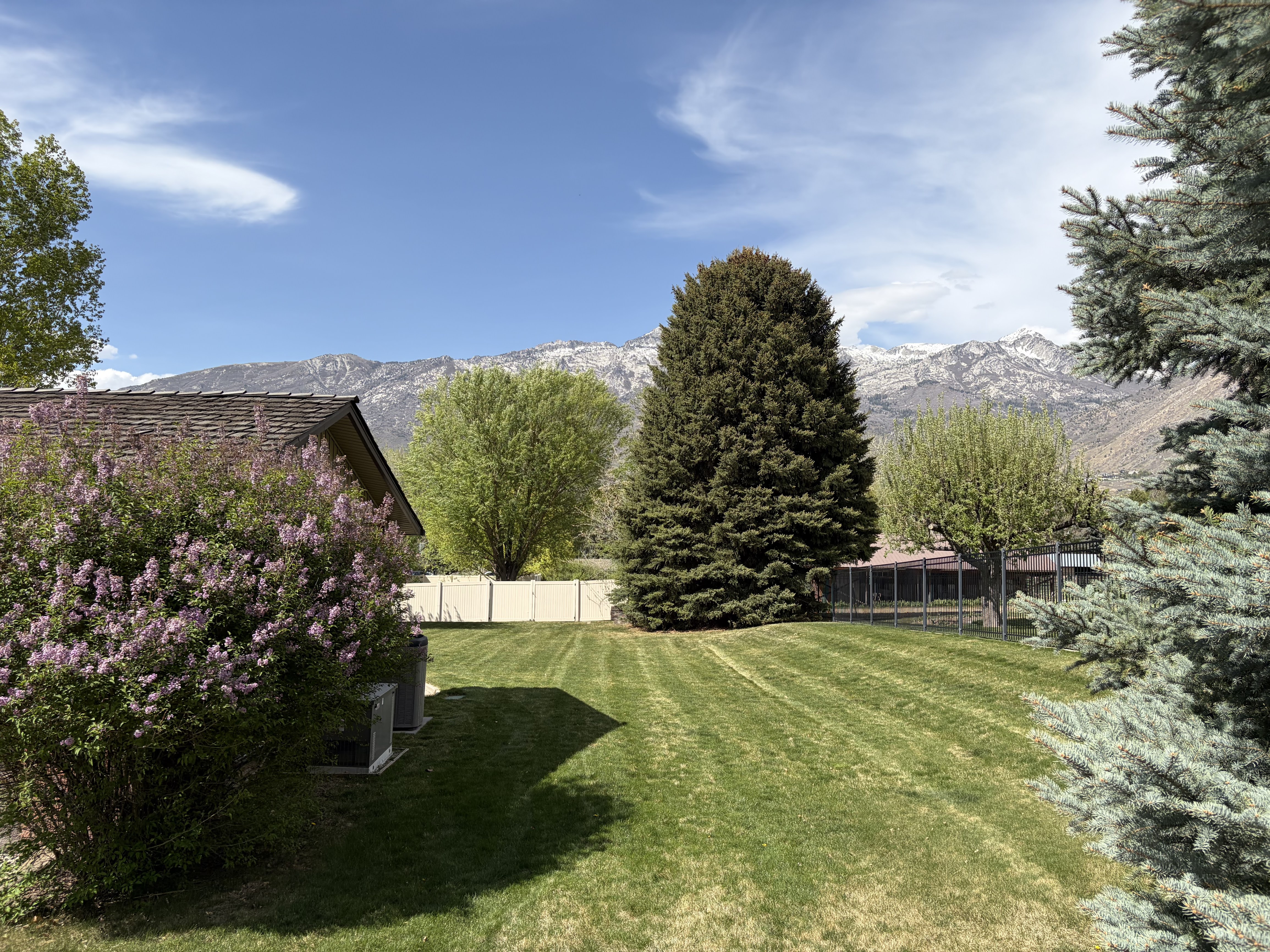 Fenced yard featuring a mountain view