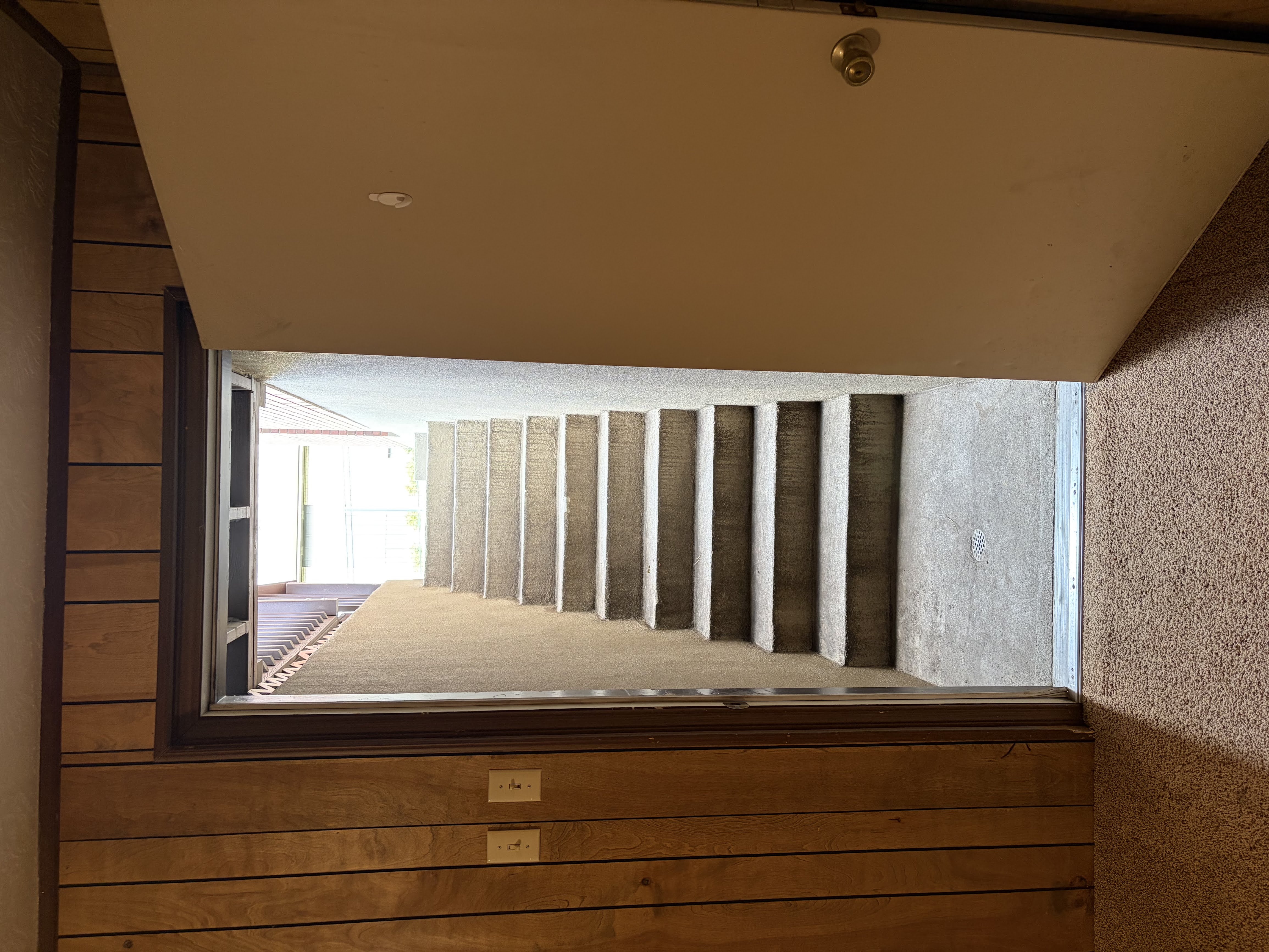 Stairs with carpet floors