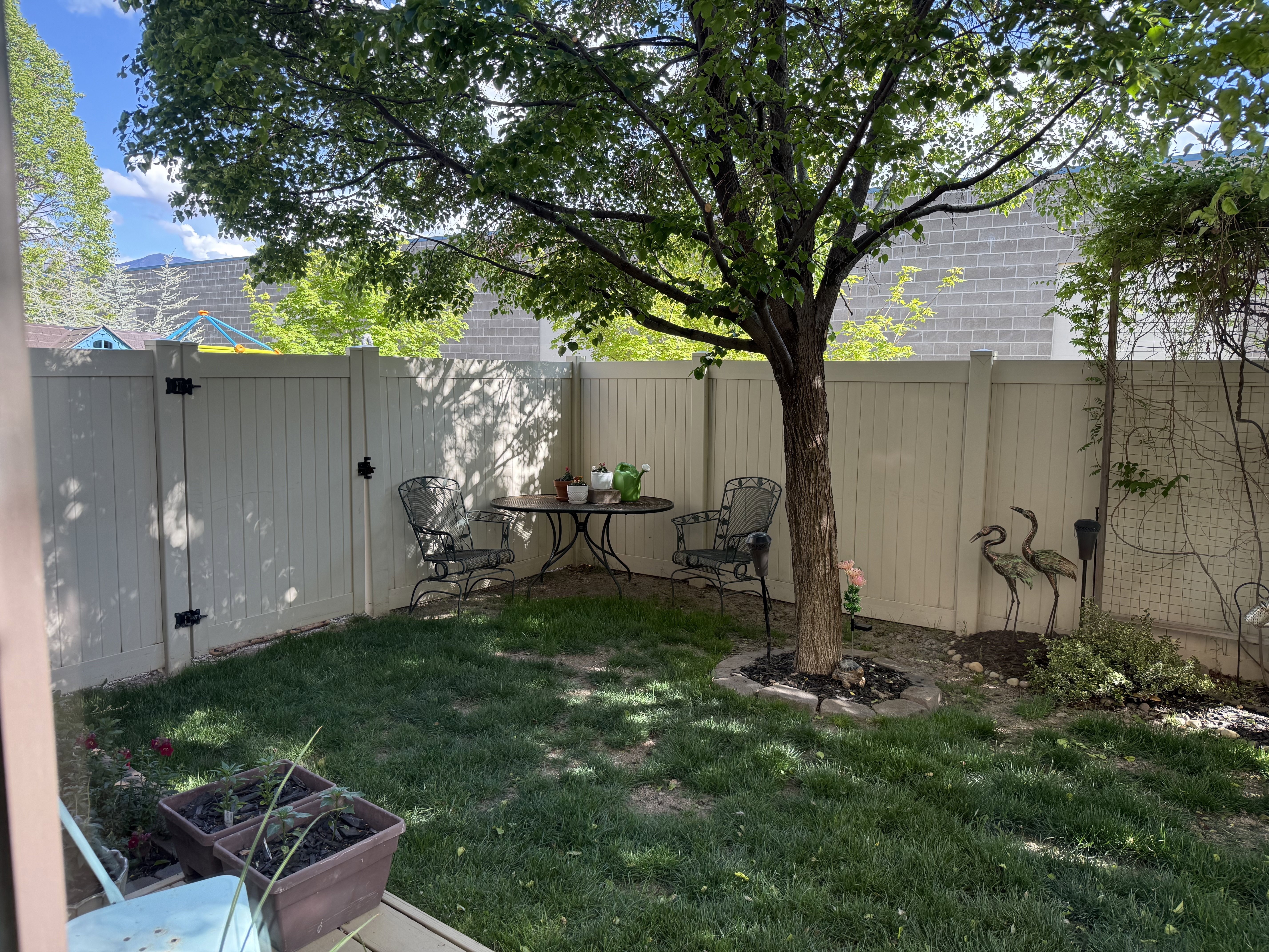 View of fenced backyard