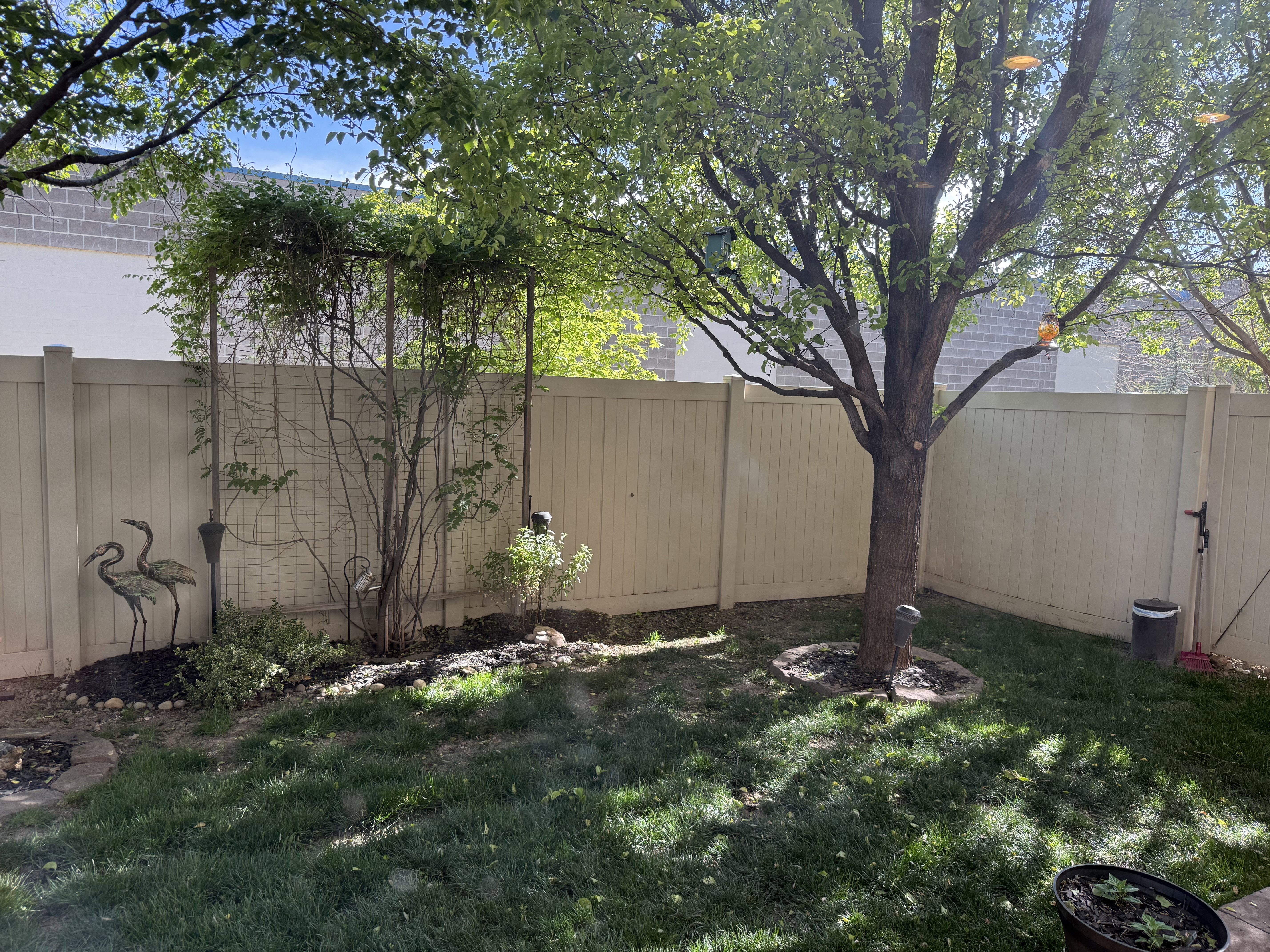 View of fenced yard