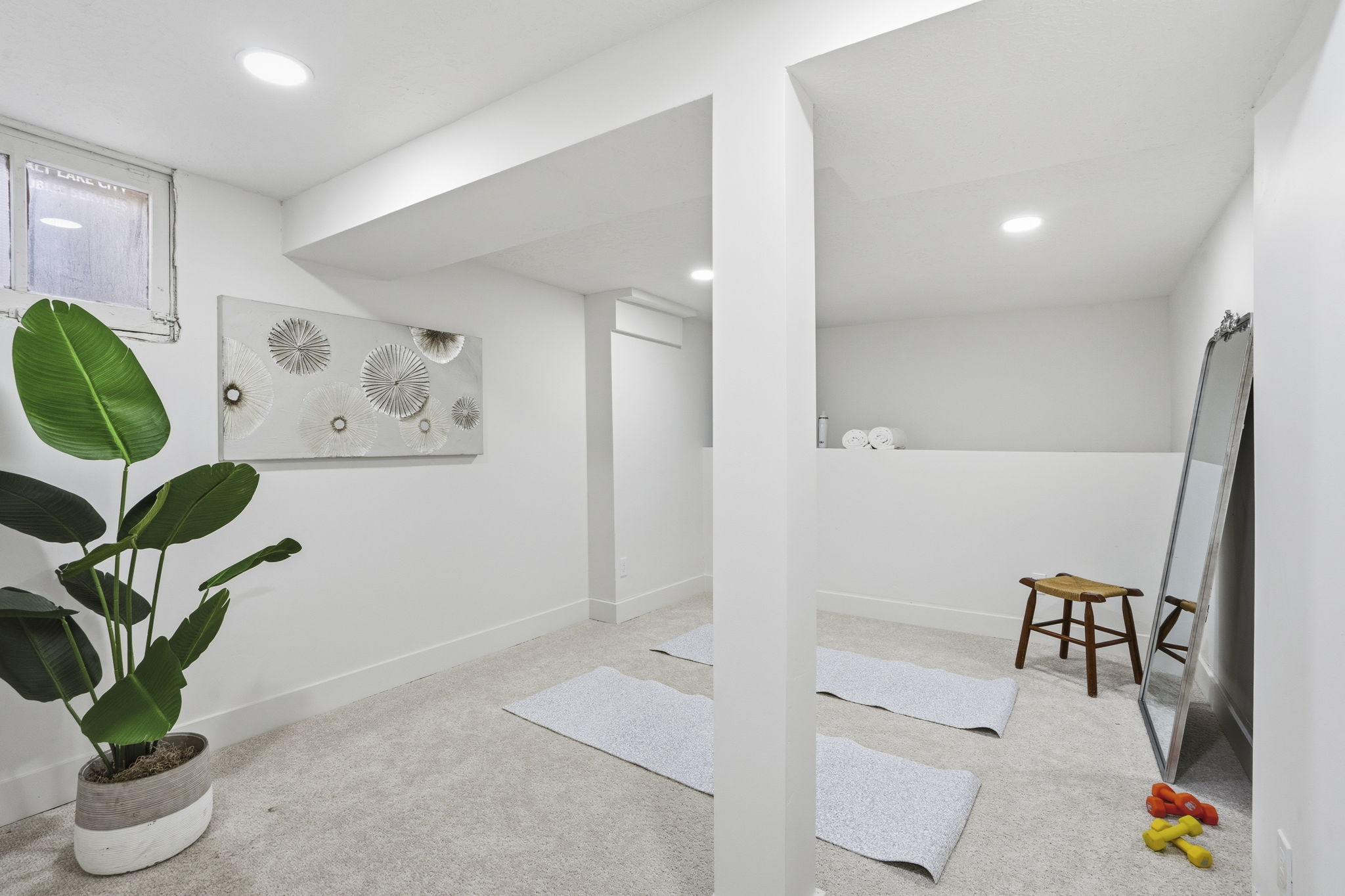 Finished below grade area with light colored carpet and recessed lighting