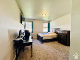 Primary Bedroom with light colored carpet and baseboards