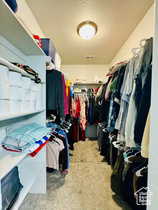 Primary Walk-in closet featuring light colored carpet