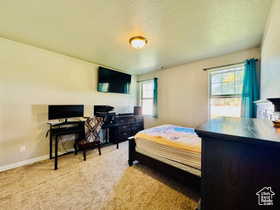 Primary Bedroom with light colored carpet and a textured ceiling