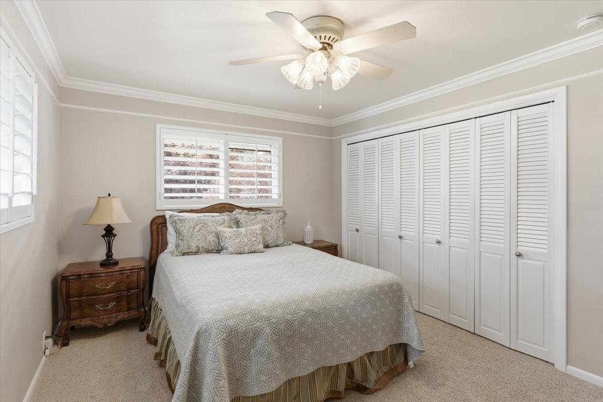 Carpeted bedroom featuring a closet, crown molding, and a ceiling fan