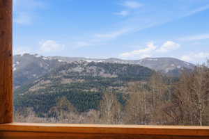 Mountain view with a forest