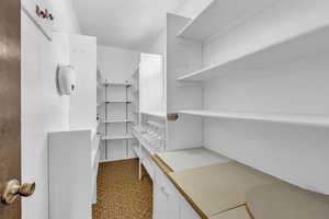 Walk in closet with light floors