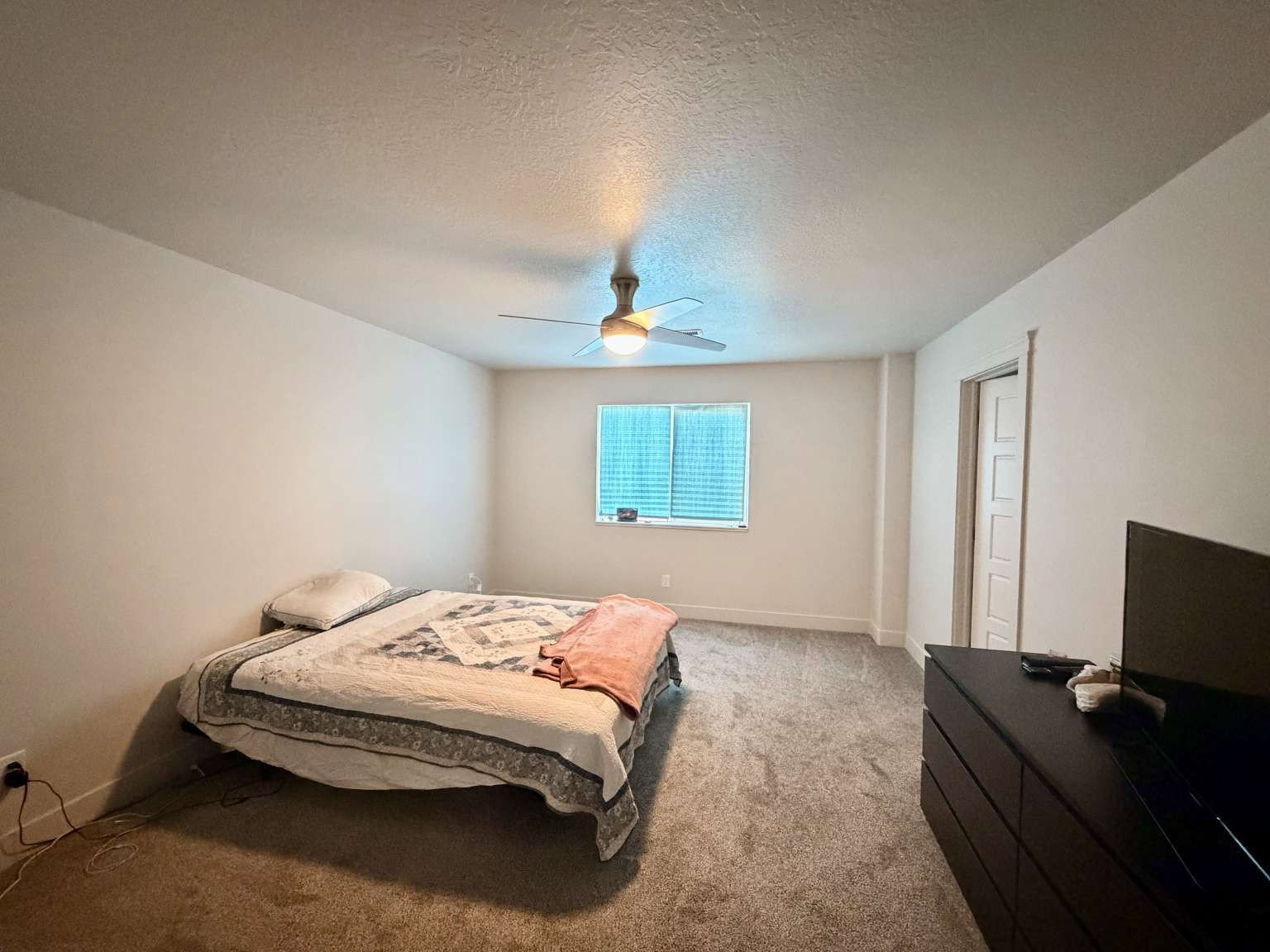 Carpeted room with a ceiling fan light fixture, a window with horizontal blinds, and a paneled door