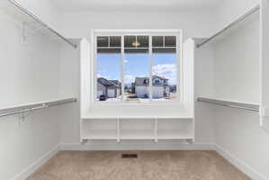 Spacious walk-in closet featuring built-in shelving, dual hanging rods, a window, and carpet flooring