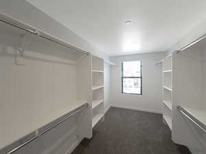 Awesome Walk in Closet with Window