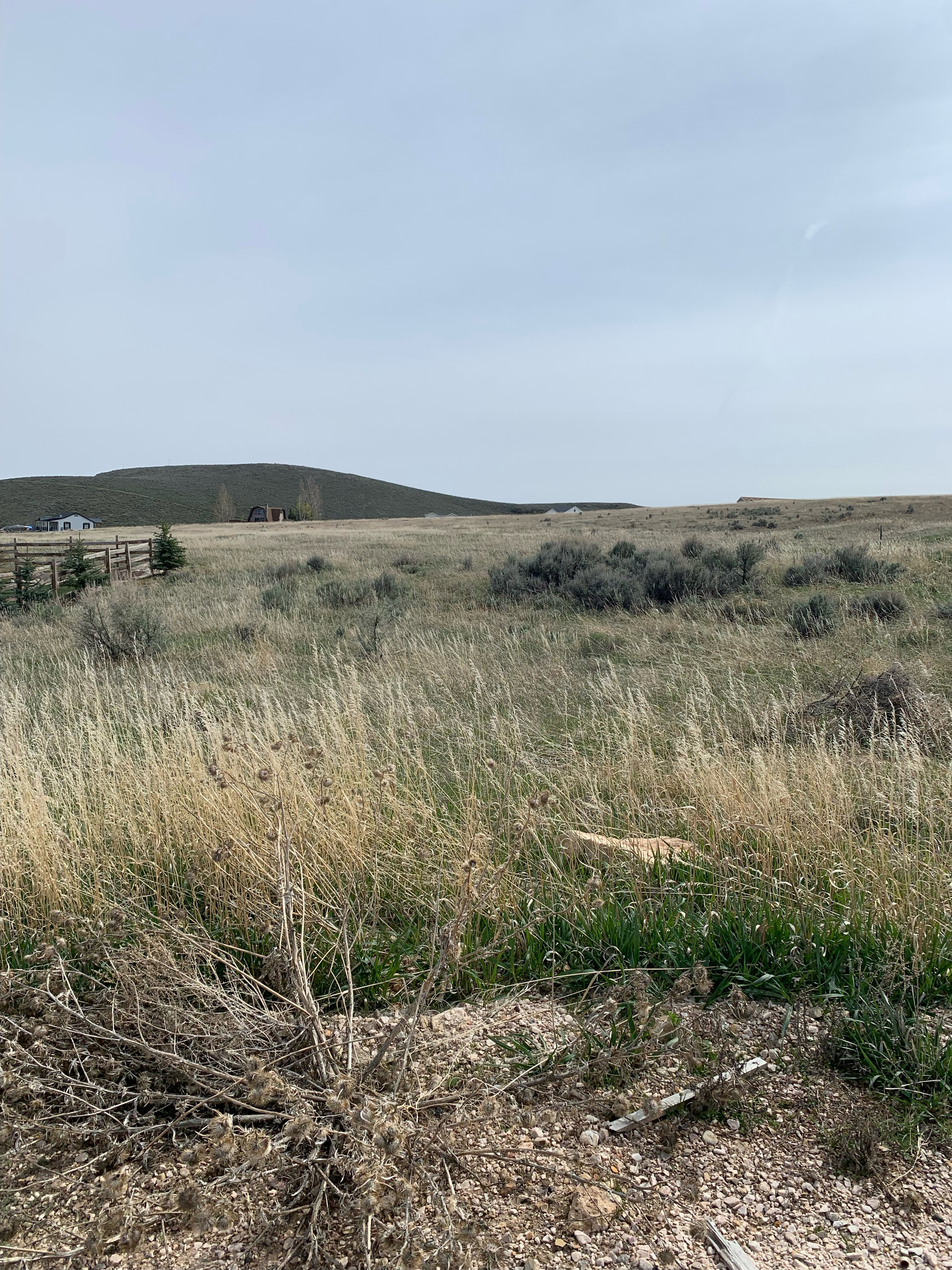 View of local wilderness featuring rural landscape
