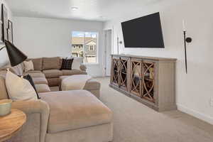 Living room featuring light colored carpet
