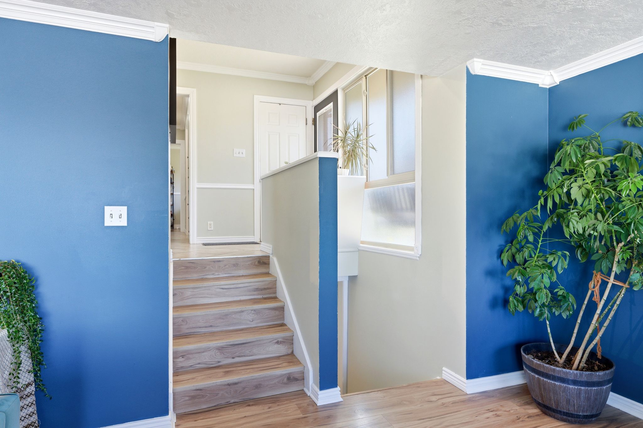 Staircase with wood finished floors and crown molding
