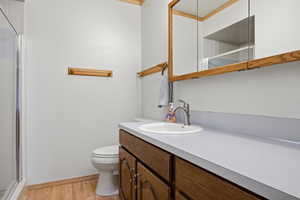 Bathroom with vanity, a shower stall, and light wood-style flooring